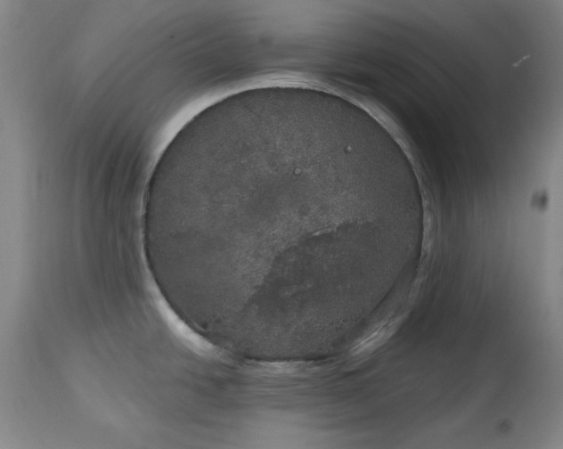 X0000113551438200910021520