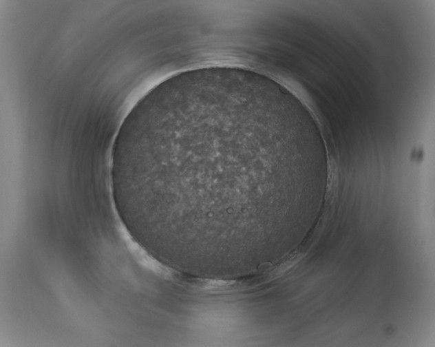 X0000113551439200910021520