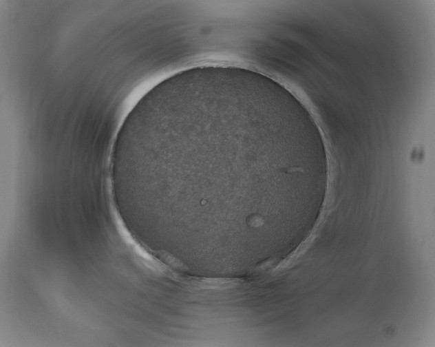 X0000113551440200910021520