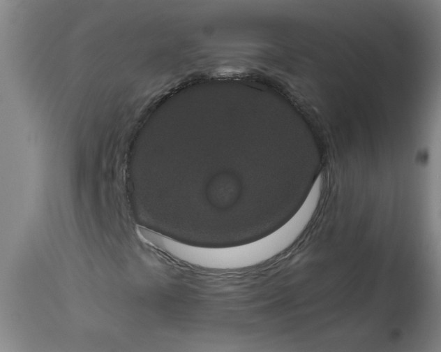 X0000113551441200910021519