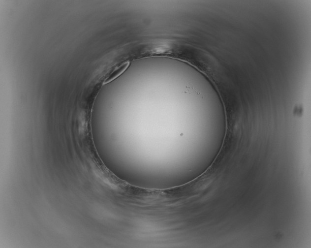 X0000113551442200910021519