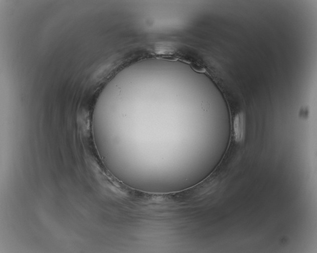 X0000113551443200910021519