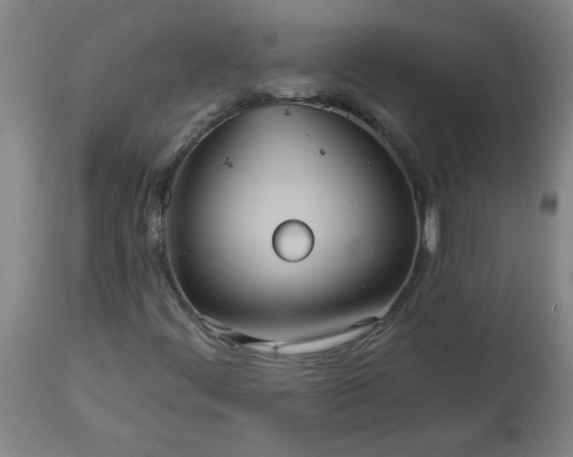 X0000113551444200910021519