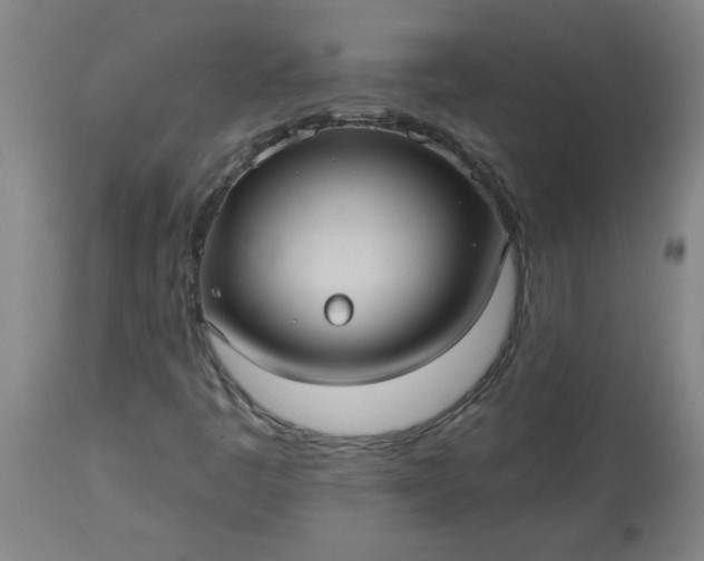 X0000113551445200910021519