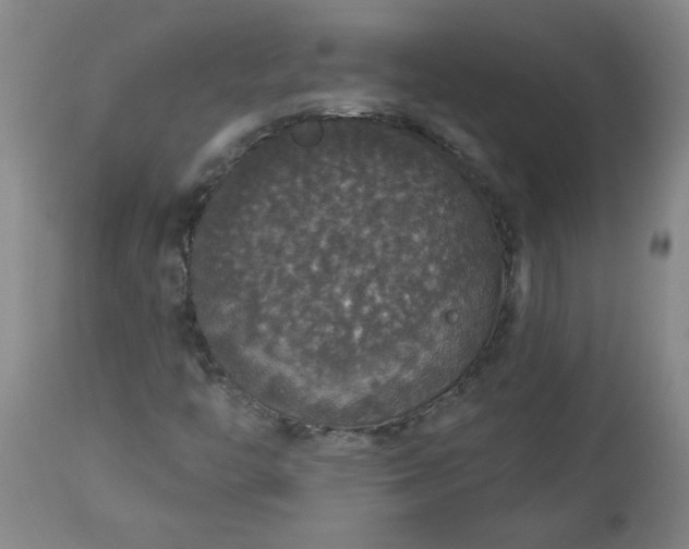 X0000113551446200910021519