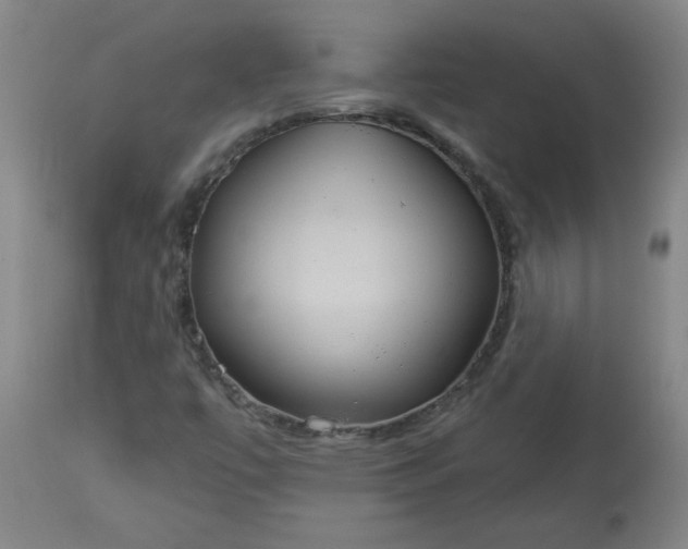 X0000113551447200910021519