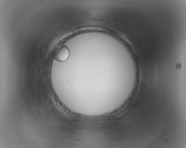 X0000113551448200910021519