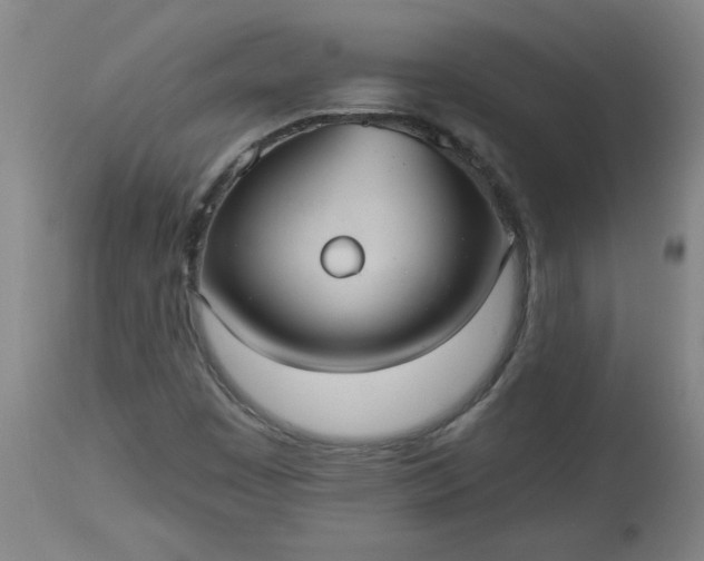 X0000113551449200910021519