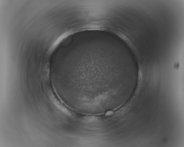 X0000113551450200910021519