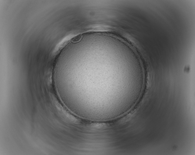 X0000113551451200910021519