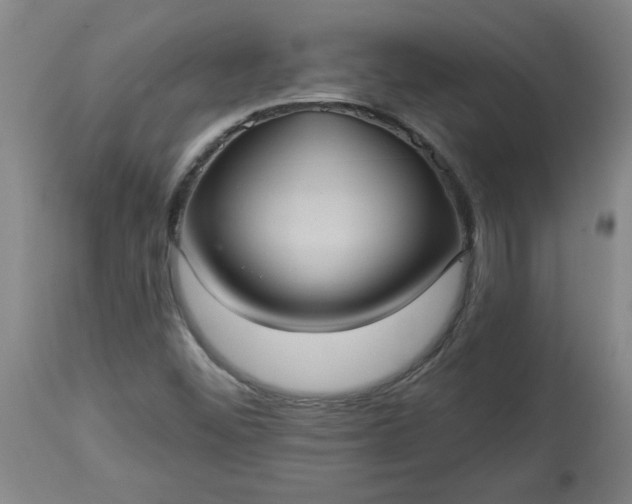 X0000113551452200910021519