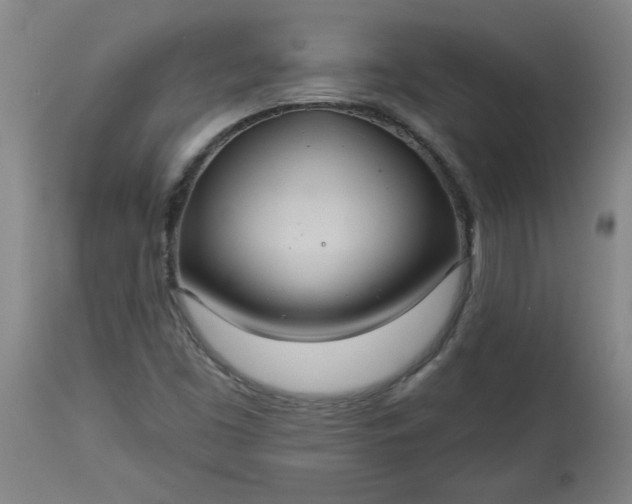 X0000113551453200910021519