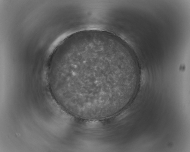 X0000113551454200910021519