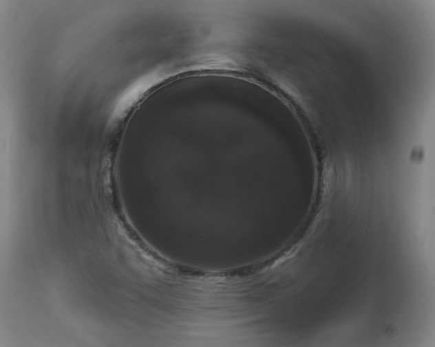 X0000113551455200910021519