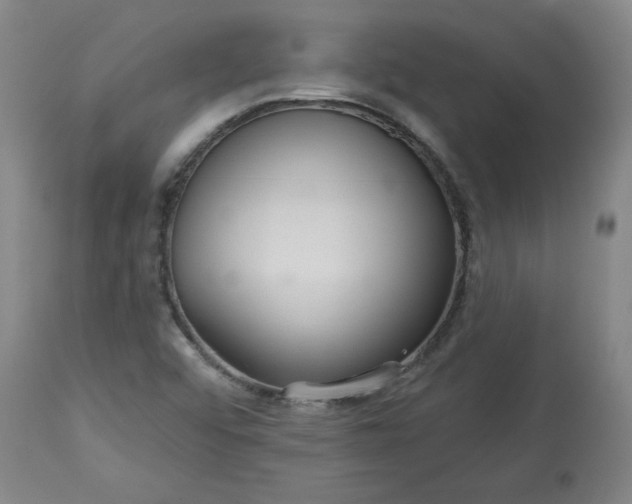 X0000113551456200910021519