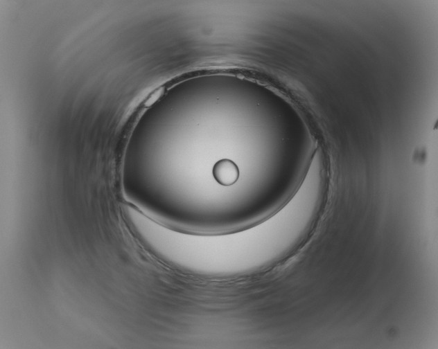 X0000113551457200910021519