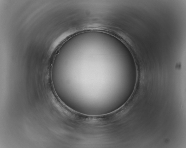 X0000113551458200910021519