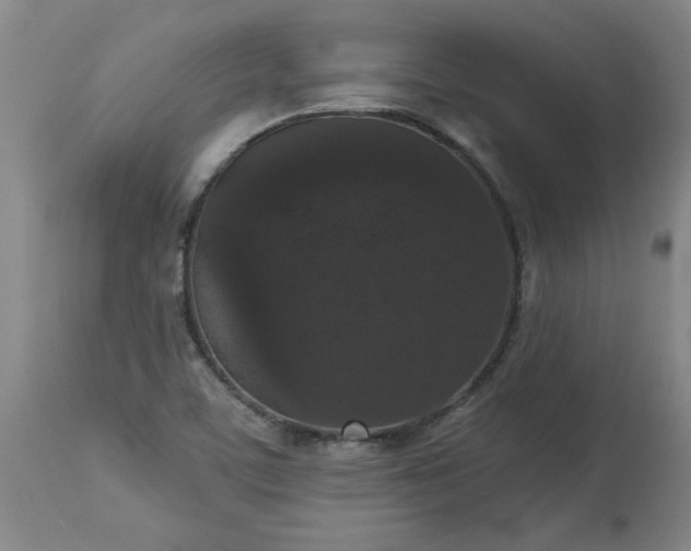 X0000113551459200910021519