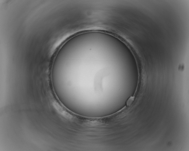 X0000113551460200910021519