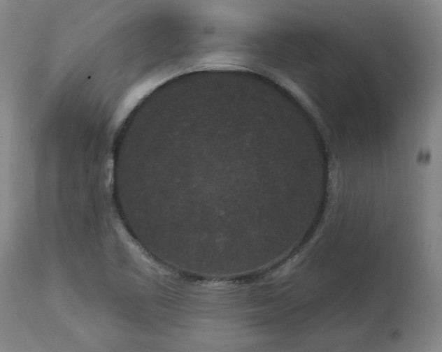 X0000113551461200910021519