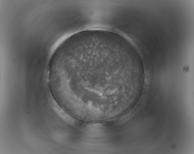 X0000113551462200910021519