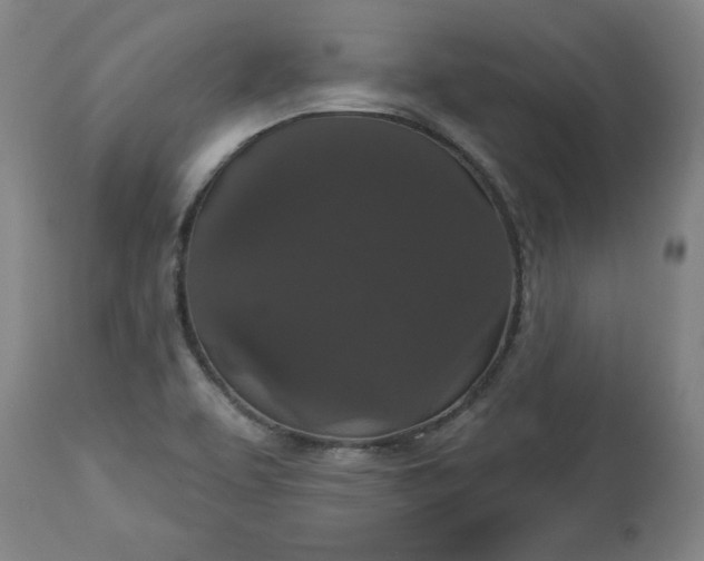 X0000113551463200910021519