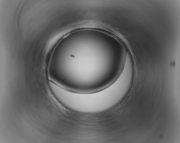 X0000113551464200910021519