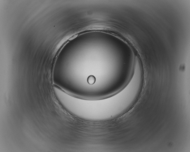 X0000113551465200910021519