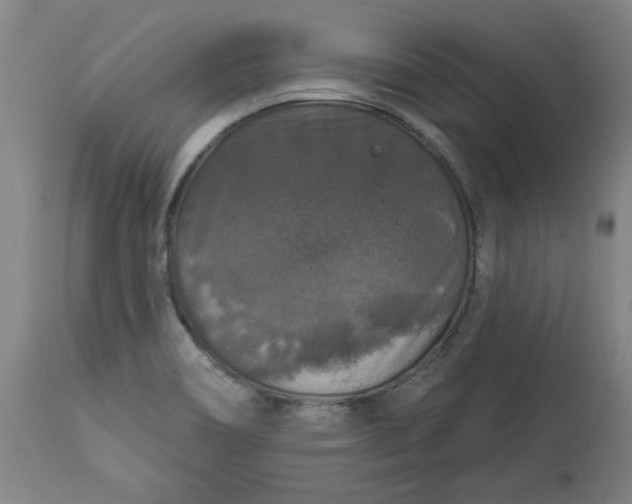 X0000113551466200910021519