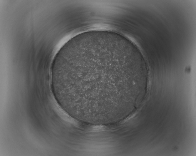 X0000113551467200910021519