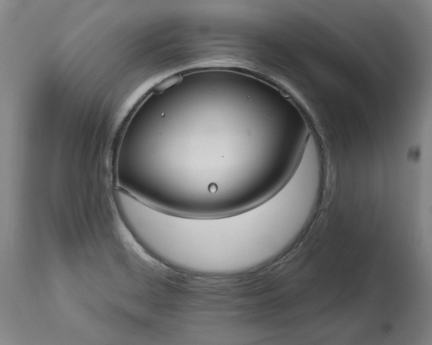 X0000113551468200910021519