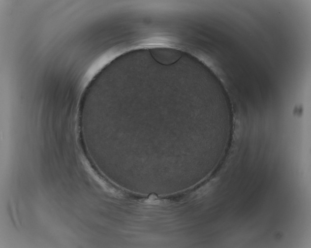 X0000113551469200910021519