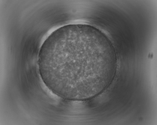 X0000113551470200910021519