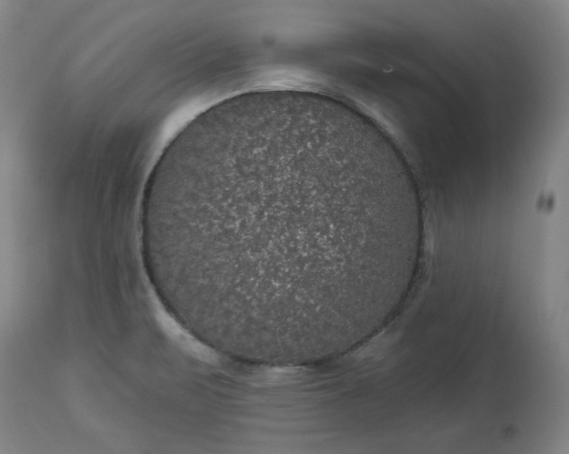 X0000113551471200910021519