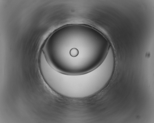 X0000113551472200910021519