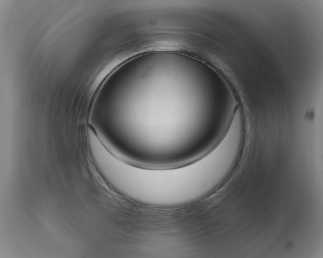 X0000113551473200910021519