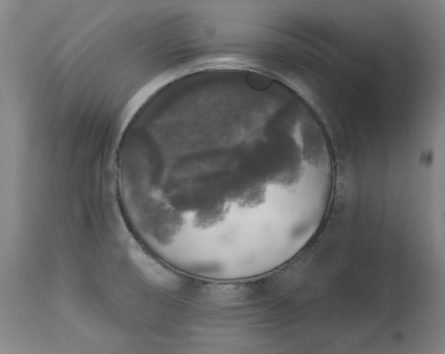 X0000113551474200910021519