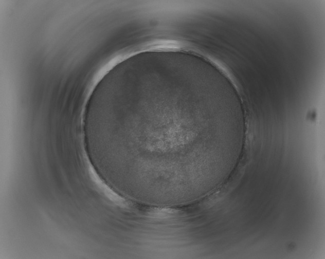 X0000113551475200910021519