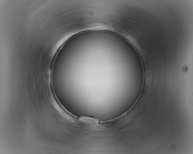 X0000113551476200910021519