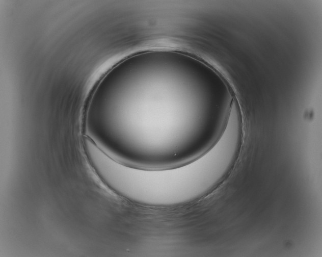 X0000113551477200910021519