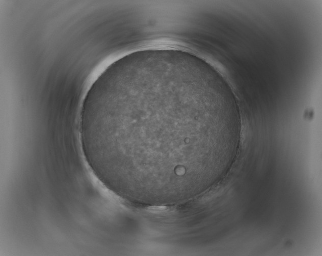 X0000113551478200910021519