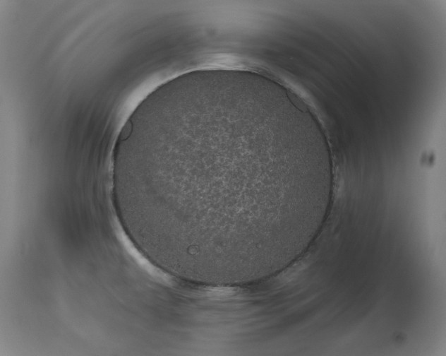 X0000113551479200910021519