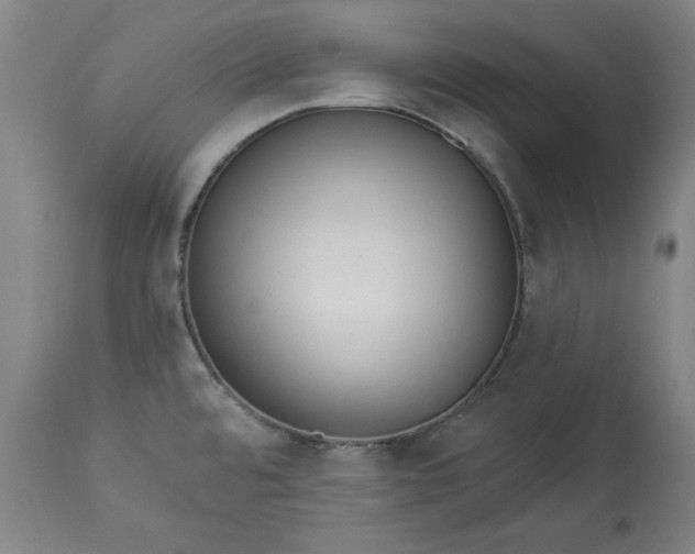 X0000113551480200910021519