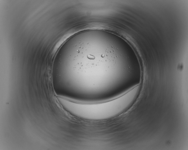 X0000113551481200910021519