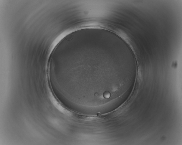 X0000113551482200910021519