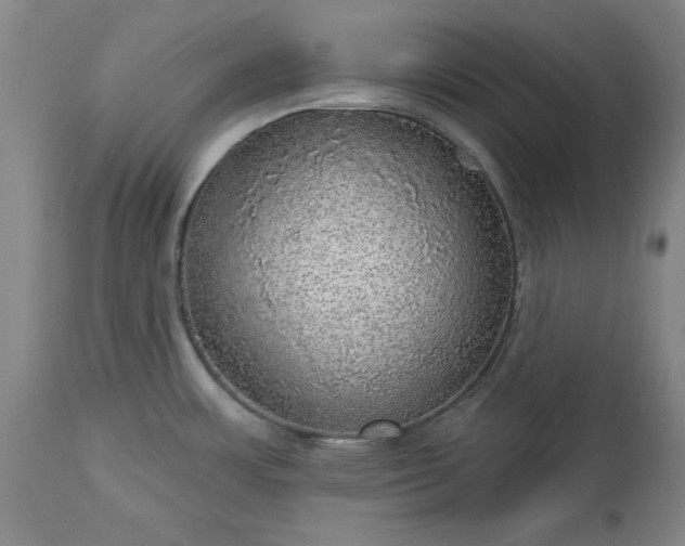 X0000113551483200910021519