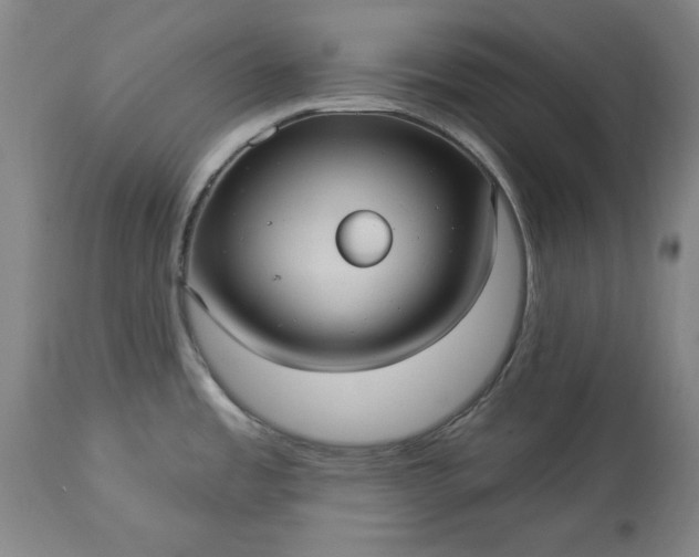 X0000113551485200910021518