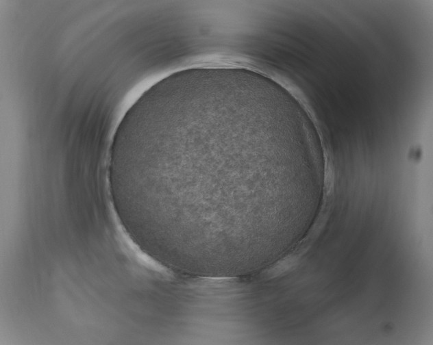 X0000113551486200910021518