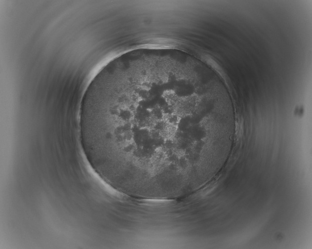 X0000113551487200910021518