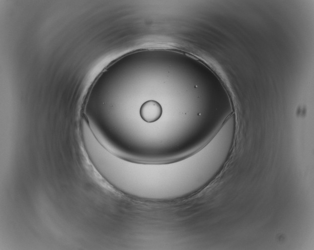 X0000113551488200910021518